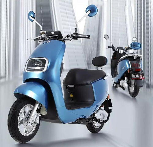 2020年電動車行業(yè)最能跑的5款鉛酸電動車,哪款才是續(xù)航之王