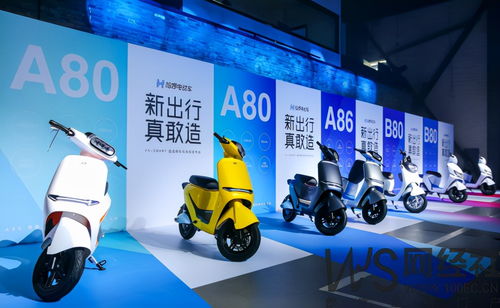 阿里 螞蟻集團2.8億美金重倉 這家公司竟然是......